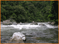 La Cobertura Vegetal en la Cuenca del Canal de Panamá