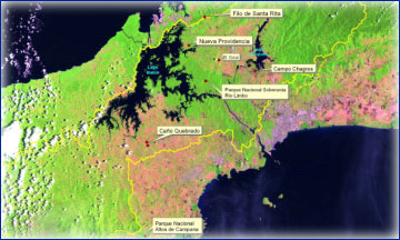 Mapa de Cobertura Vegetal