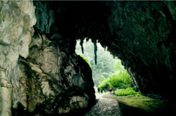 La cueva del Guácharo